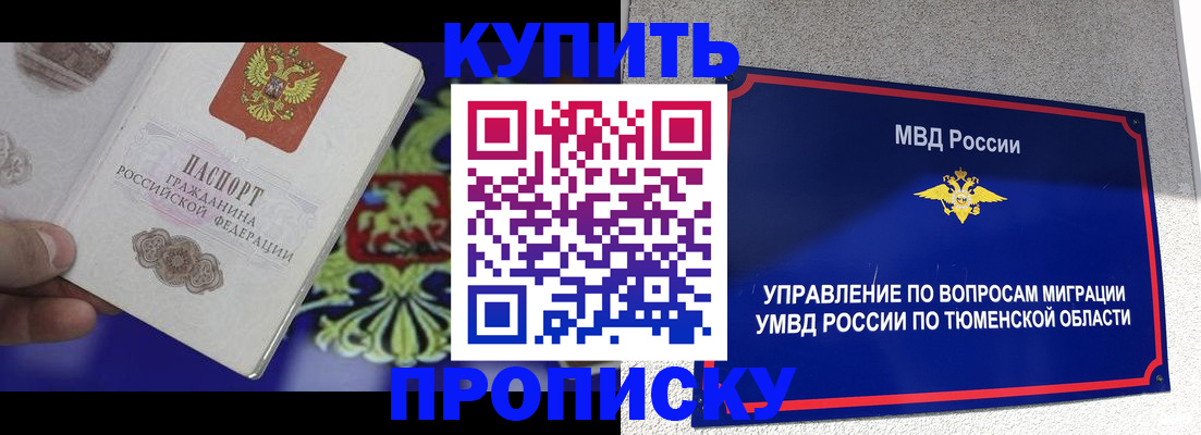 прописка 2025 в Сольцах